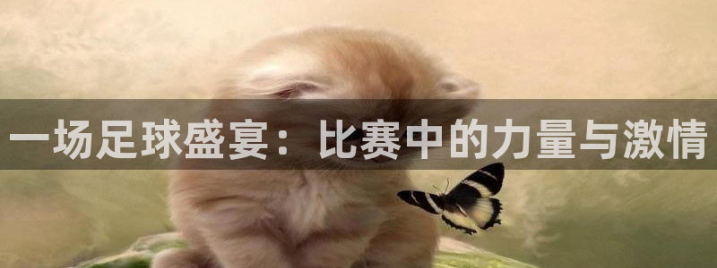 od体育官网下载