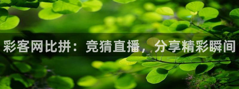 龙门直播官网下载