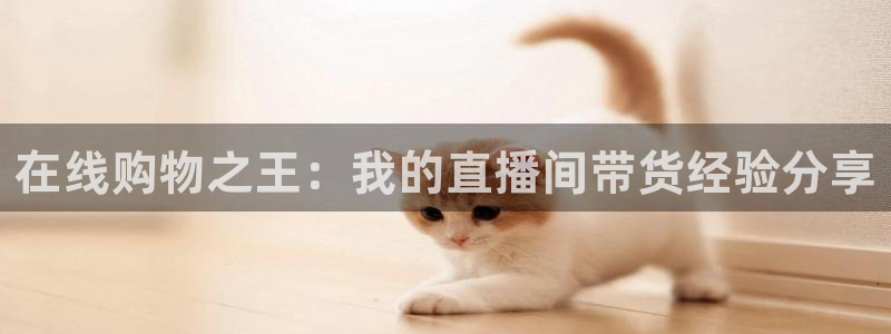 龙门直播吧：在线购物之王：我的直播间带货经验分享