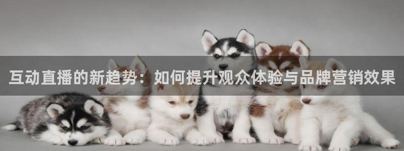 下载龙门体育直播：互动直播的新趋势：如何提升观众体验与品牌营销效果