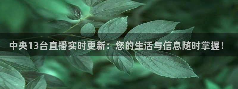 龙门直播体育免费观看：中央13台直播实时更新：您的生活与信息随时掌握！