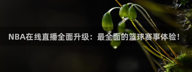 龙门直播官网